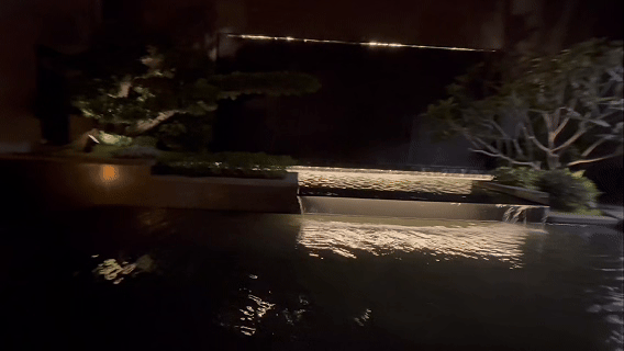 动图-偷月.gif